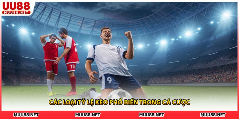 Các loại tỷ lệ kèo phổ biến trong cá cược