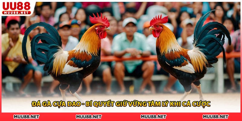 Đá Gà Cựa Dao - Bí Quyết Giữ Vững Tâm Lý Khi Cá Cược Tại UU88