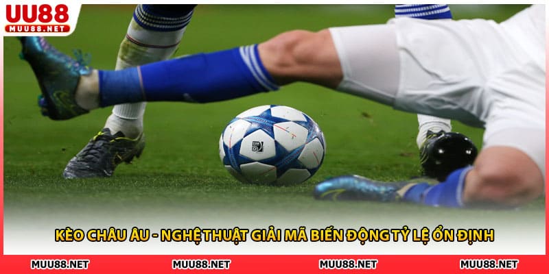 Kèo Châu Âu - Nghệ Thuật Giải Mã Biến Động Tỷ Lệ Ổn Định
