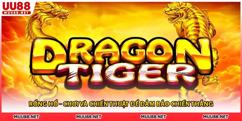 Rồng Hổ - Chơi Và Chiến Thuật Để Đảm Bảo Chiến Thắng