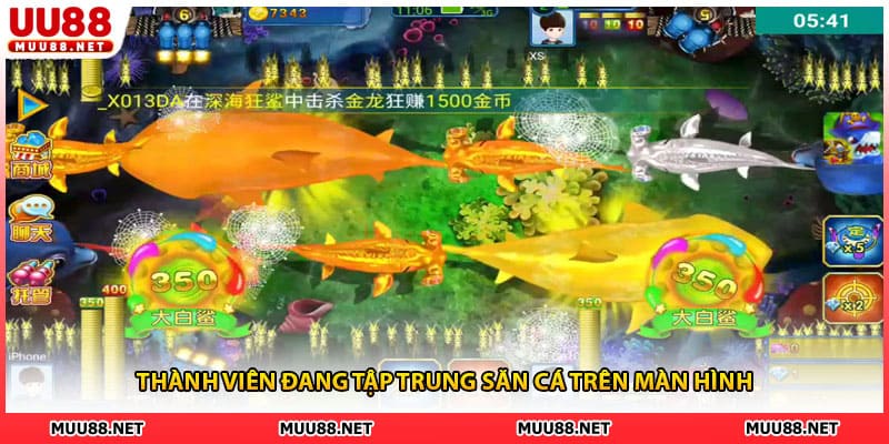 Thành viên đang tập trung săn cá trên màn hình